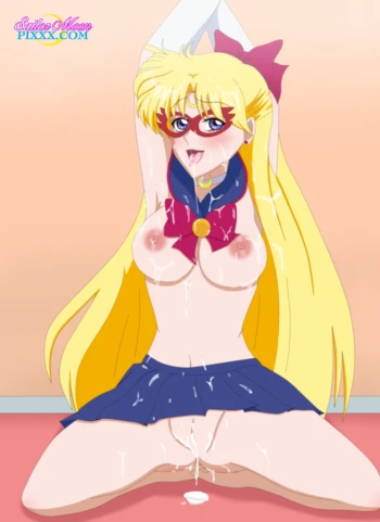 Sailor V's Day