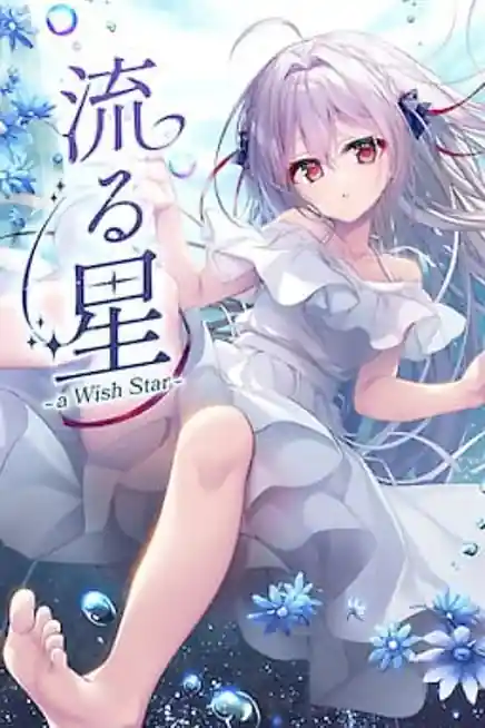 Nagaruboshi -a wish star