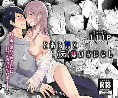 Toaru Ani to Moto Imouto no Ohanashi