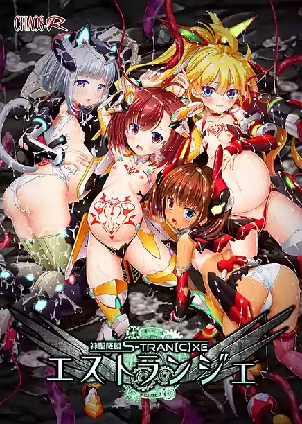 Shinsei Kourin S-TRANCXE