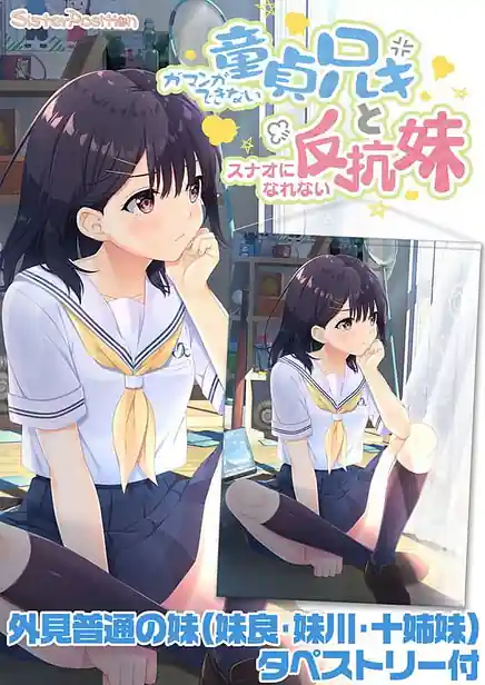 Gaman ga Dekinai Doutei Aniki to Sunao ni Narenai Hankou Imouto
